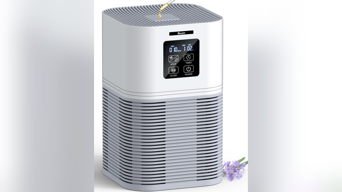 Breath better with an air purifier. 